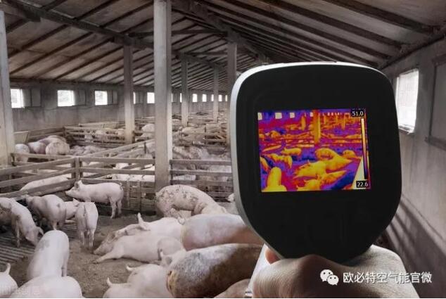 養(yǎng)豬場為何都改用空氣能熱泵？豬場老板道出心聲